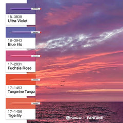 Stationery - Pantone × Kaco Collaboration Gel Pen – 0.5mm Black Ink - Goodie Goodie