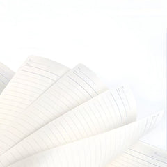 Stationery - Kokuyo Campus Semi-Transparent Pastel Cookie Binder Notebook A4 40 Sheets - Goodie Goodie
