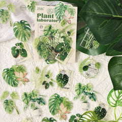 Stationery - Plant Lab Series PET Waterproof Stickers 20pcs β Monstera - Goodie Goodie