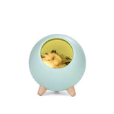 Little Kitten House Night Light – Green