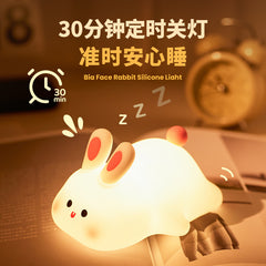 Big Face Rabbit Night Light