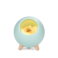 Kitten House Night Light-Blue