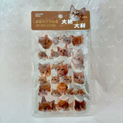 Cat Head Sticker 3 sheets Orange