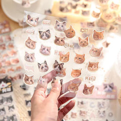 Cat Head Sticker 3 sheets Orange