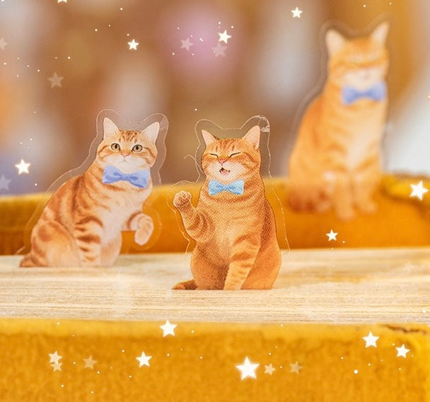 Sweet Cat & Floral PET Waterproof Stickers 2 Sheets #4