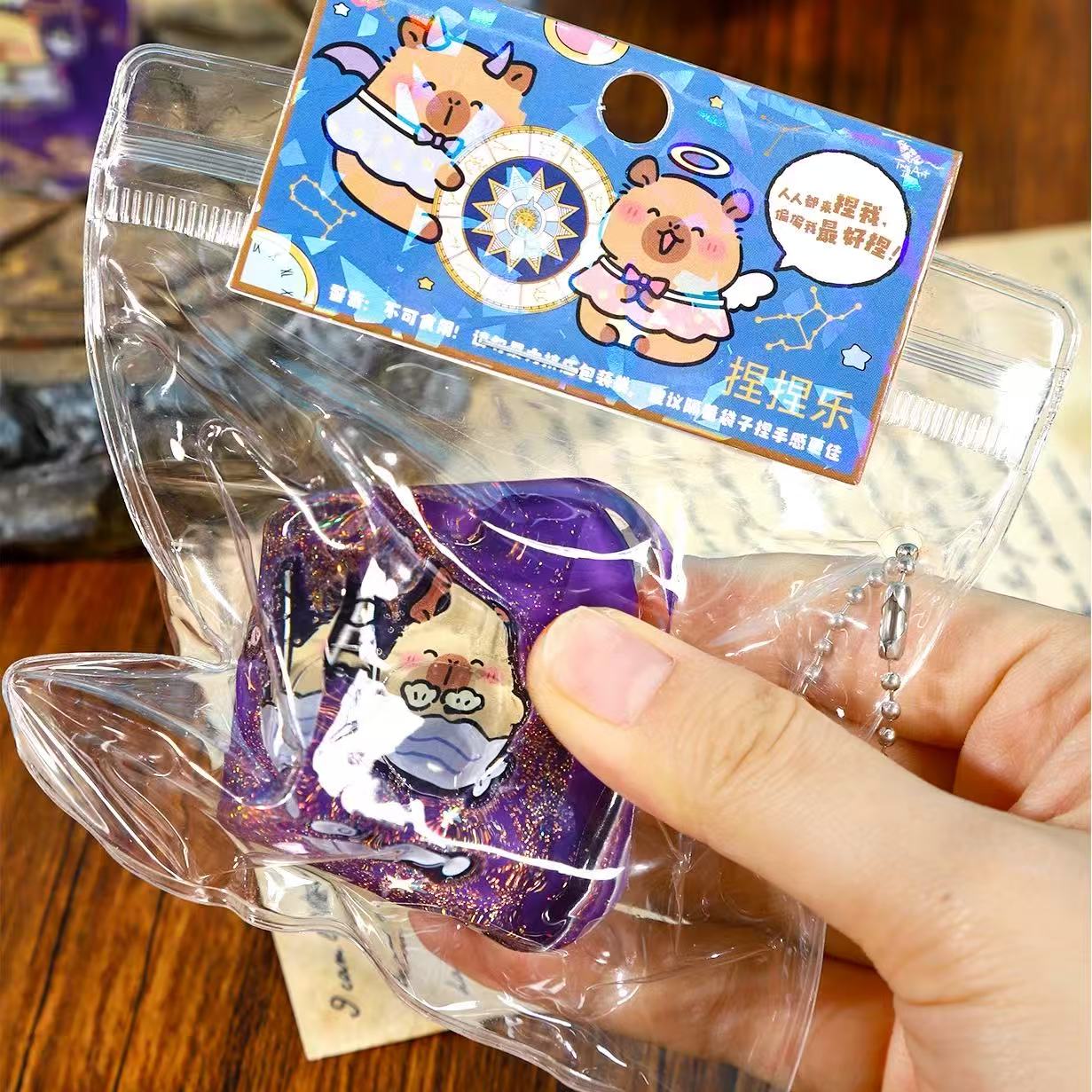 Capybara Zodiac Squishy Assorted