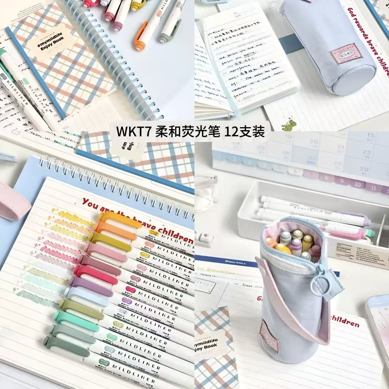 Zebra Mildliner Highlighter 12-Colour Set with Pencil Case & Dot Journal