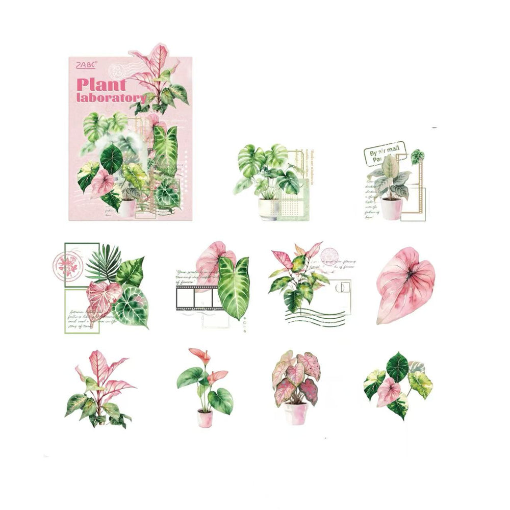 Stationery - Plant Lab Series PET Waterproof Stickers 20pcs – The Story of Taro - Goodie Goodie