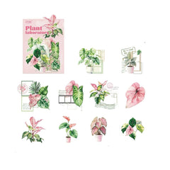 Stationery - Plant Lab Series PET Waterproof Stickers 20pcs – The Story of Taro - Goodie Goodie