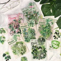 Stationery - Plant Lab Series PET Waterproof Stickers 20pcs – Monstera - Goodie Goodie