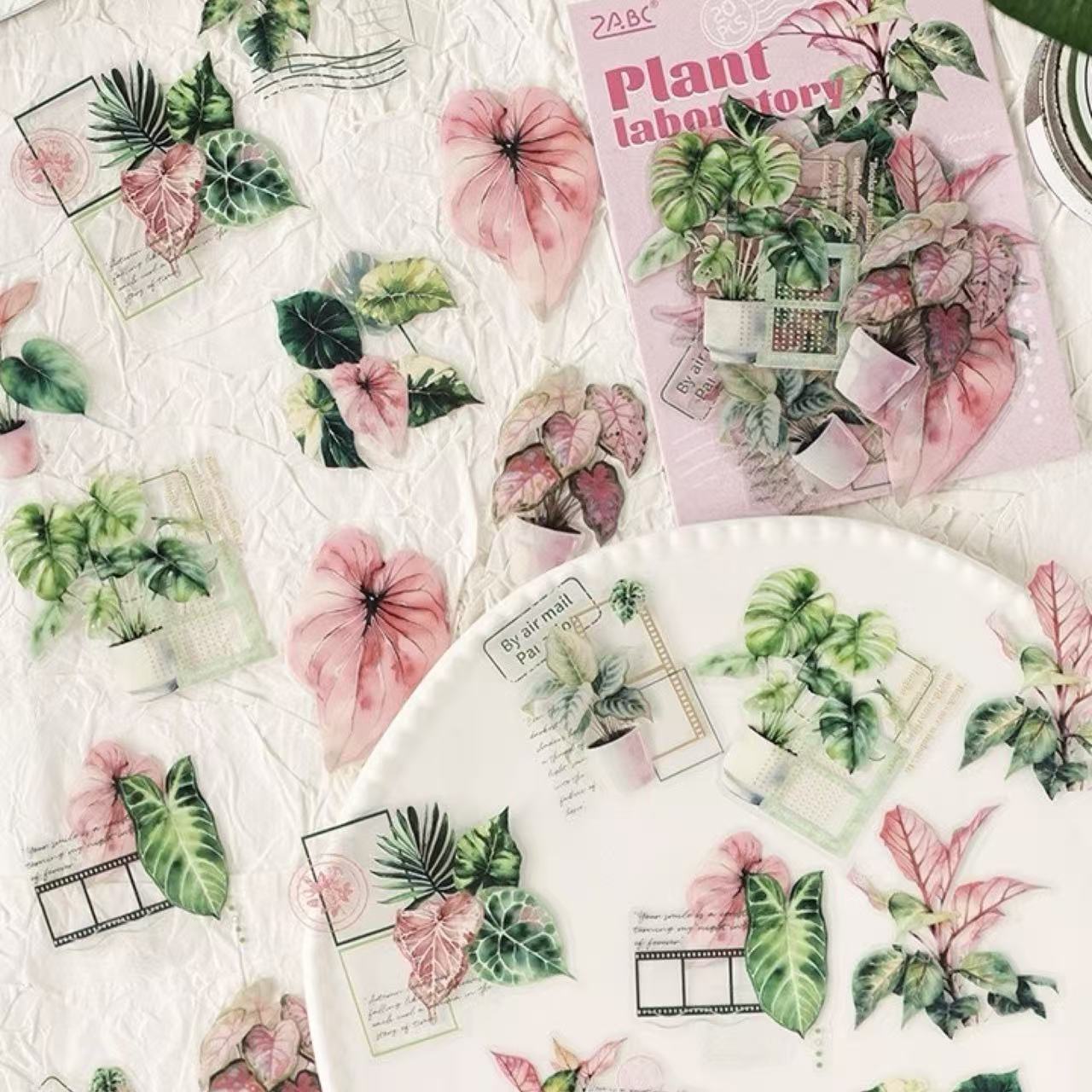 Stationery - Plant Lab Series PET Waterproof Stickers 20pcs – The Story of Taro - Goodie Goodie