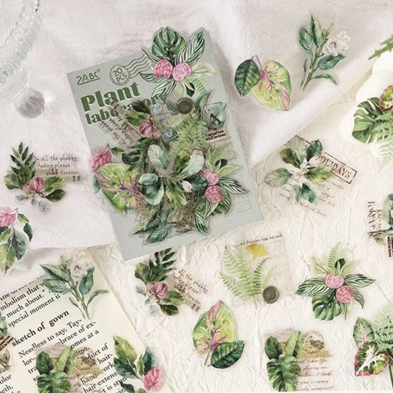 Stationery - Plant Lab Series PET Waterproof Stickers 20pcs – The Wild Grass - Goodie Goodie
