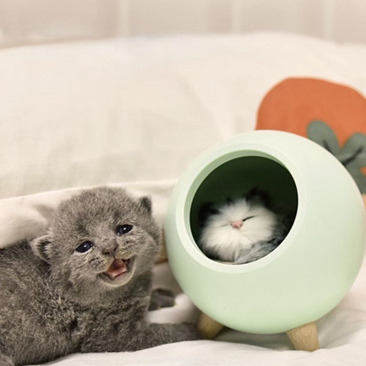 Kitten House Night Light-Blue
