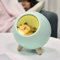Kitten House Night Light-Blue