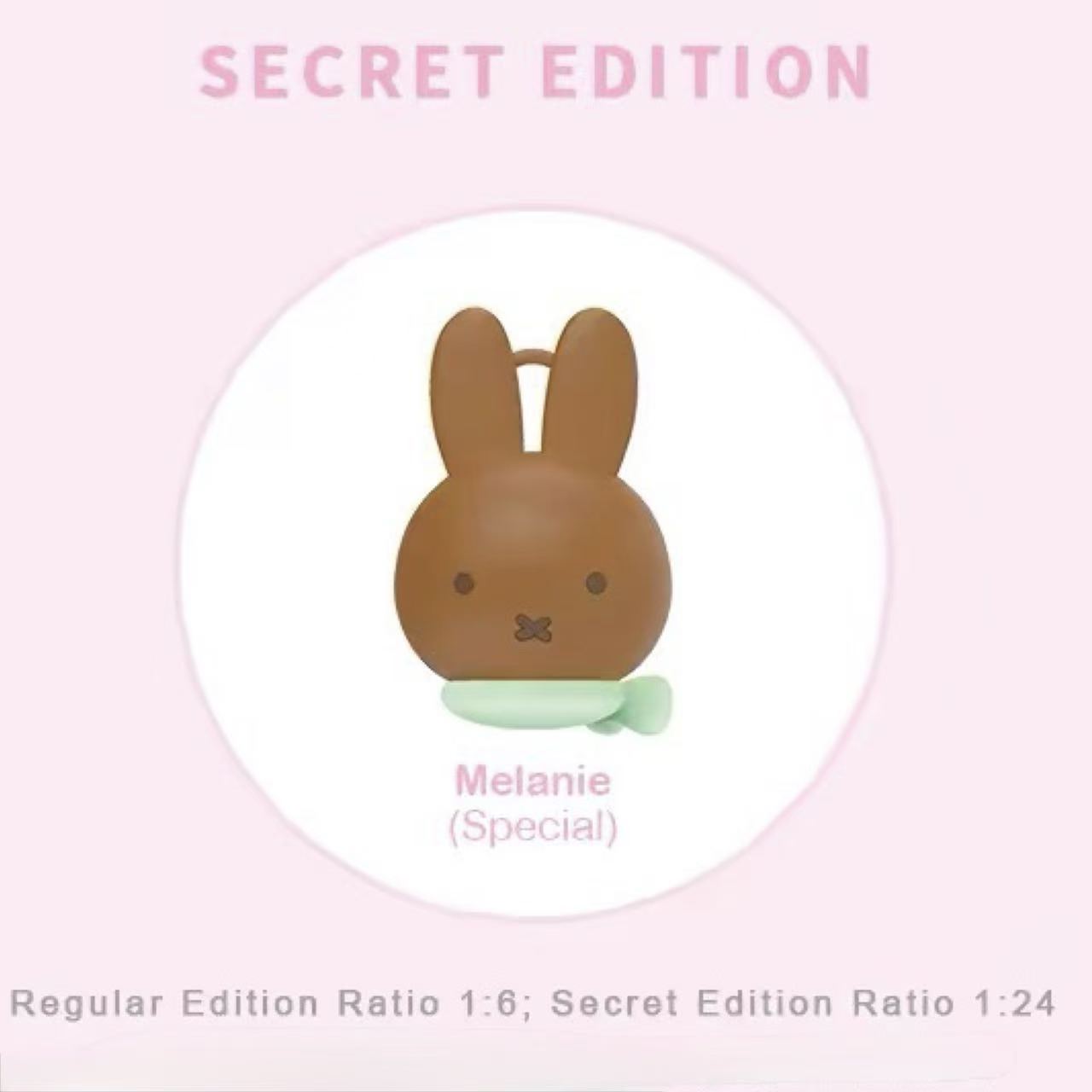 Miffy Silicone Coin Purse Keychain Blind Box