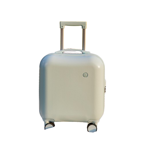 20 inch Suitcase Green